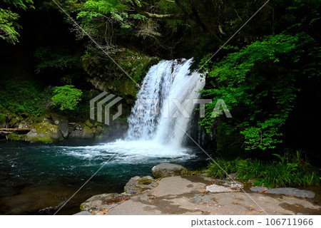 Izu Peninsula, Nakaizu, Kawazu Seven Falls, Instagrammable spot, first view waterfall where you can take pictures up close, Kawazu Town, Shizuoka Prefecture (1) 106711966