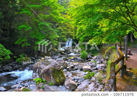 Izu Peninsula, Nakaizu, Kawazu Nanataki, Worship stone and first view waterfall of the great wish fulfillment enshrined in the Kawazu River, Kawazu Town, Shizuoka Prefecture (1) Izu Peninsula, Nakaizu, Kawazu Nanataki, Worship stone and first view waterfall of the great wish fulfillment enshrined in the Kawazu River, Kawazu Town, Shizuoka Prefecture (1) 106711976