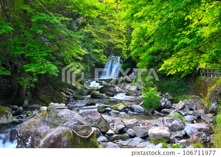 Izu Peninsula, Nakaizu, Kawazu Nanataki, Worship stone and first view waterfall of the great wish fulfillment enshrined in the Kawazu River, Kawazu Town, Shizuoka Prefecture (2) 106711977