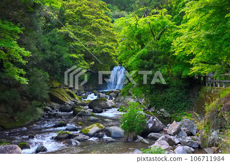 Izu Peninsula, Nakaizu, Kawazu Seven Falls, cool mountain stream of the Kawazu River, promenade, view of the first waterfall, Kawazu Town, Shizuoka Prefecture (3) 106711984