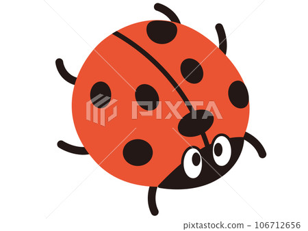 瓢蟲,昆蟲,昆蟲,捕蟲器,春天,Coccinella septempunctata,紅色,秋天,可愛,生物,暑假,動物 瓢蟲,昆蟲,昆蟲,捕蟲器,春天,Coccinella septempunctata,紅色,秋天,可愛,生物,暑假,動物 106712656