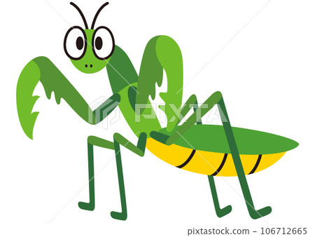 praying mantis, insect, insect, summer, animal, insect repellent, summer vacation, sickle, mantis, green, spring, breeding, creature, nature, organism, insect collecting praying mantis, insect, insect, summer, animal, insect repellent, summer vacation, sickle, mantis, green, spring, breeding, creature, nature, organism, insect collecting 106712665
