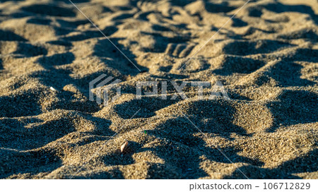 Footprints remaining on the beach 106712829
