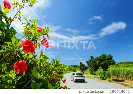夏季沖繩開車 夏季沖繩開車 106713041