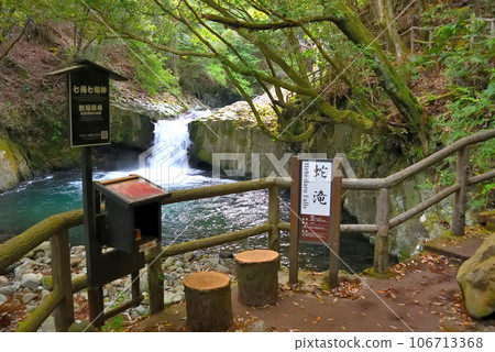 Izu Peninsula, Nakaizu, Kawazu Nanataki Falls, Snake Falls, a waterfall viewing spot where you can enjoy the view of waterfalls while feeling the cool breeze, Kawazu Town, Shizuoka Prefecture (3) Izu Peninsula, Nakaizu, Kawazu Nanataki Falls, Snake Falls, a waterfall viewing spot where you can enjoy the view of waterfalls while feeling the cool breeze, Kawazu Town, Shizuoka Prefecture (3) 106713368