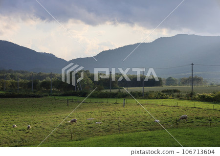 Enjoy summer car camping at Farm in Tonto in Bifuka Town, in the peaceful northern part of Hokkaido, and catch some in the soba fields. 106713604