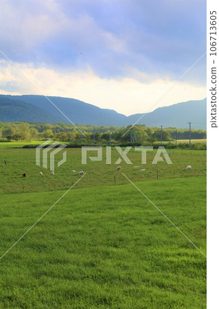 在北海道寧靜的北部地區美深鎮的通托農場享受夏季汽車露營的樂趣，並在蕎麥田裡捕捉一些美食。 106713605