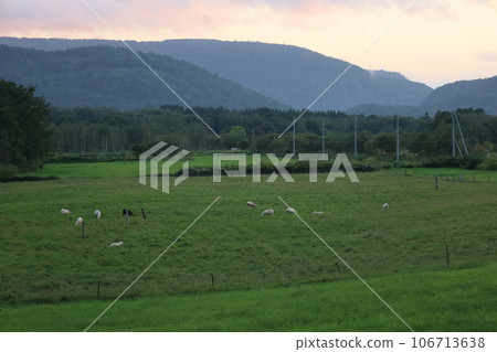 Enjoy summer car camping at Farm in Tonto in Bifuka Town, in the peaceful northern part of Hokkaido, and catch some in the soba fields. Enjoy summer car camping at Farm in Tonto in Bifuka Town, in the peaceful northern part of Hokkaido, and catch some in the soba fields. 106713638
