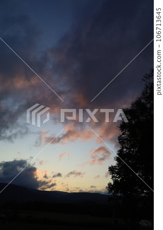 在北海道寧靜的北部地區美深鎮的通托農場享受夏季汽車露營的樂趣，並在蕎麥田裡捕捉一些美食。 106713645