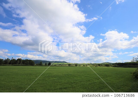 Enjoy summer car camping at Farm in Tonto in Bifuka Town, in the peaceful northern part of Hokkaido, and catch some in the soba fields. Enjoy summer car camping at Farm in Tonto in Bifuka Town, in the peaceful northern part of Hokkaido, and catch some in the soba fields. 106713686