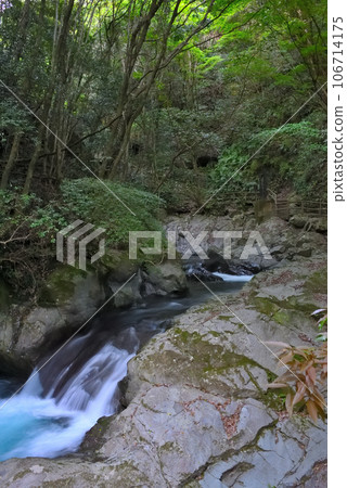 Izu Peninsula, Nakaizu, Kawazu Nanataki Falls, Ebi Falls that looks like a shrimp's tail fin, Kawazu Town, Shizuoka Prefecture (9) Izu Peninsula, Nakaizu, Kawazu Nanataki Falls, Ebi Falls that looks like a shrimp's tail fin, Kawazu Town, Shizuoka Prefecture (9) 106714175