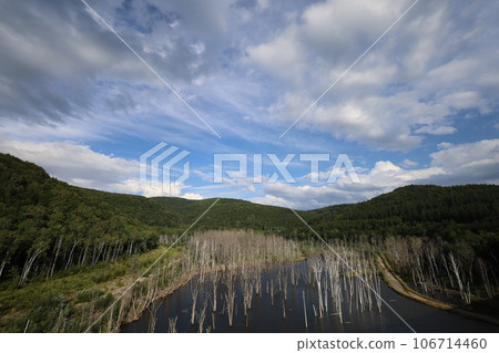 Shimokawa Town, a forest town found on a refreshing drive in August in northern Hokkaido, and the sunken forest of the Sanru River flowing to the Sanru Dam. Shimokawa Town, a forest town found on a refreshing drive in August in northern Hokkaido, and the sunken forest of the Sanru River flowing to the Sanru Dam. 106714460