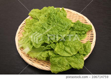 Sanchu on a colander 106714759