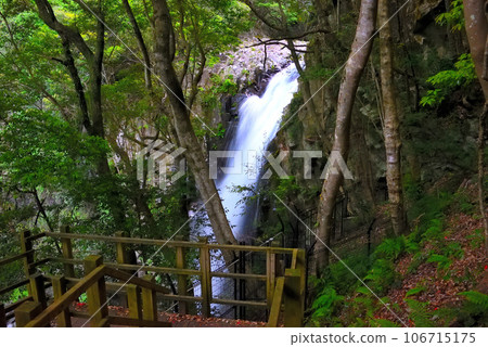 Izu Peninsula, Nakaizu, Kawazu Nanataki Falls, the impressive waterfall of Kamataki seen from the stairs of the promenade going up the side, Kawazu Town, Shizuoka Prefecture (4) Izu Peninsula, Nakaizu, Kawazu Nanataki Falls, the impressive waterfall of Kamataki seen from the stairs of the promenade going up the side, Kawazu Town, Shizuoka Prefecture (4) 106715175