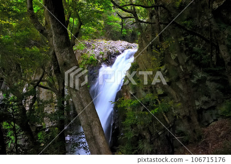 Izu Peninsula, Nakaizu, Kawazu Nanataki Falls, the impressive waterfall of Kamataki seen from the stairs of the promenade going up the side, Kawazu Town, Shizuoka Prefecture (5) Izu Peninsula, Nakaizu, Kawazu Nanataki Falls, the impressive waterfall of Kamataki seen from the stairs of the promenade going up the side, Kawazu Town, Shizuoka Prefecture (5) 106715176