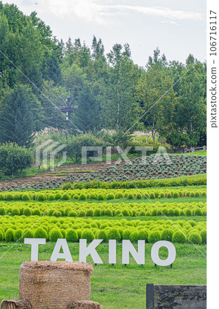 瀧野鈴蘭公園風景 瀧野鈴蘭公園風景 106716117
