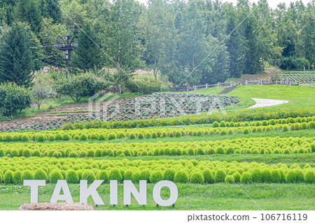 瀧野鈴蘭公園風景 106716119