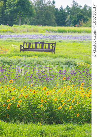 Scenery of Takino Suzuran Park Scenery of Takino Suzuran Park 106716137