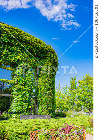 札幌市農業實驗公園風景 札幌市農業實驗公園風景 106716301