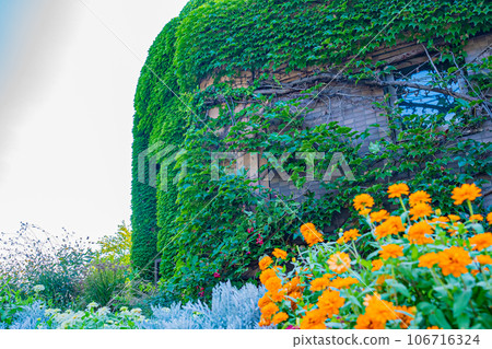 札幌市農業實驗公園風景 106716324