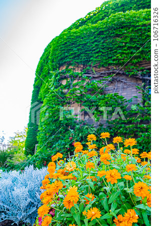 Sapporo City Agricultural Experiment Park scenery 106716326