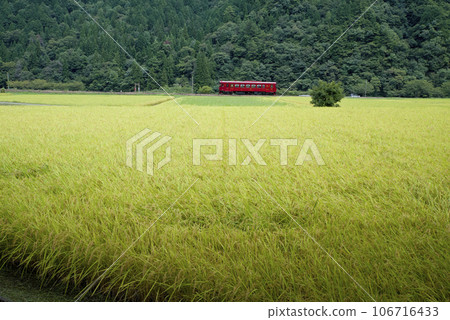 秋天的長良川鐵路 秋天的長良川鐵路 106716433