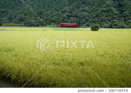 秋天的長良川鐵路 106716434