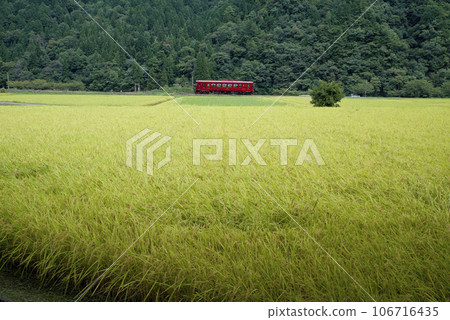 秋天的長良川鐵路 秋天的長良川鐵路 106716435