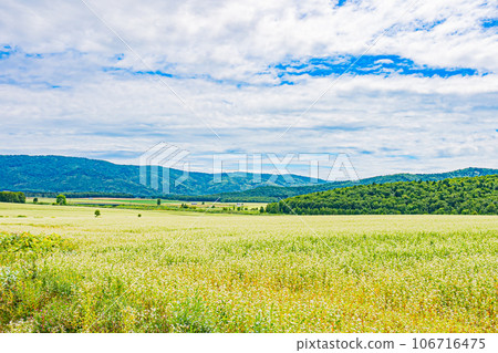 Horokanai town, white silver hill scenery 106716475