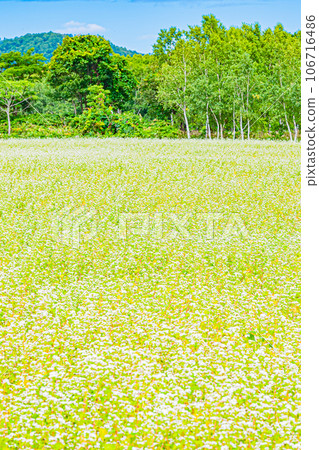 Horokanai town, white silver hill scenery Horokanai town, white silver hill scenery 106716486