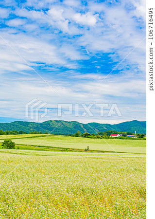 幌加內町、白銀山風景 106716495