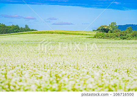 幌加內町、白銀山風景 106716500
