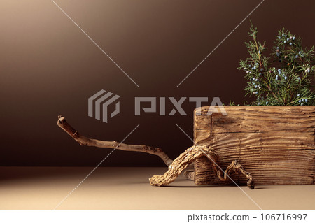 Abstract composition of old wooden plank and juniper branch. 106716997
