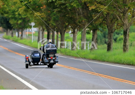 Tree-lined avenue and sidecar Tree-lined avenue and sidecar 106717046