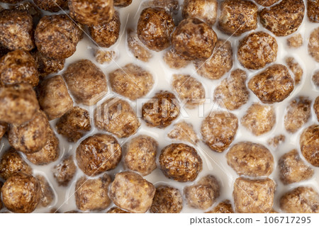 sweet and healthy chocolate balls with cow's milk 106717295