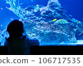 child looking at aquarium 106717535