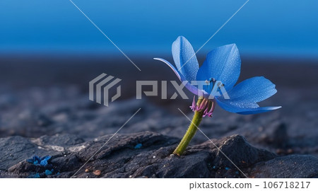 Resilient Violet Blue Delicate Flowers Thriving on Harsh Tundra Rock Cliffs. Generative AI. 106718217