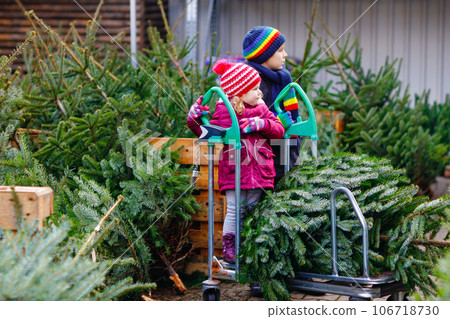 Two little siblings toddler girl and kid boy holding Christmas tree on a market. Happy children in winter fashion clothes choosing and buying Xmas tree in outdoor shop. Family, tradition, celebration 106718730