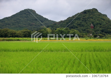 Scenery of Izuruhara-cho (Isoyama Benzaiten), Sano City, Tochigi Prefecture Scenery of Izuruhara-cho (Isoyama Benzaiten), Sano City, Tochigi Prefecture 106718764