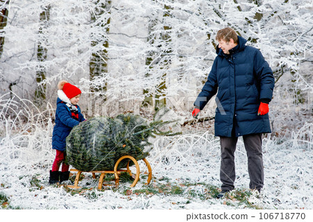 Happy little girl and dad pushing Christmas tree on sleigh. Preschool child with father, young man on fir cutting plantation. Family choose, cut and fell own xmas tree in forest. Germany tradition Happy little girl and dad pushing Christmas tree on sleigh. Preschool child with father, young man on fir cutting plantation. Family choose, cut and fell own xmas tree in forest. Germany tradition 106718770