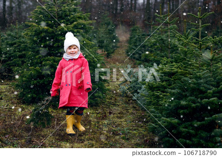 Adorable little toddler girl with Christmas tree on fir tree cutting plantation . Happy child in winter fashion clothes choosing, cut and felling own xmas tree in forest, family tradition in Germany Adorable little toddler girl with Christmas tree on fir tree cutting plantation . Happy child in winter fashion clothes choosing, cut and felling own xmas tree in forest, family tradition in Germany 106718790
