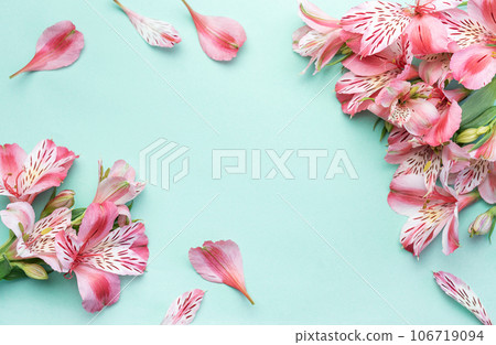 Beautiful Alstroemeria flowers on light green background Beautiful Alstroemeria flowers on light green background 106719094