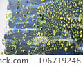 夜空畫 106719248