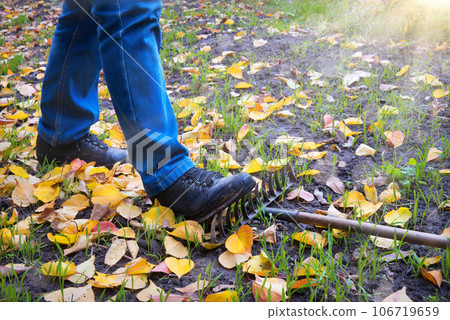 Male foot steps on a lying rake Male foot steps on a lying rake 106719659