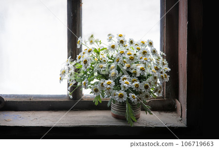Bouquet of daisies on the windowsill Bouquet of daisies on the windowsill 106719663