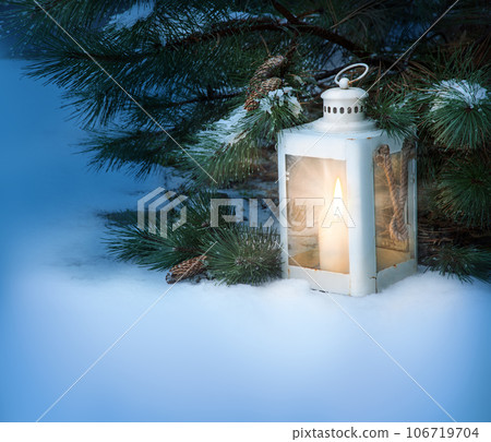 Glowing lantern under fir tree in the forest Glowing lantern under fir tree in the forest 106719704