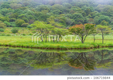 (群馬縣)初秋紅葉已開始的赤城山/角滿淵 (群馬縣)初秋紅葉已開始的赤城山/角滿淵 106719844