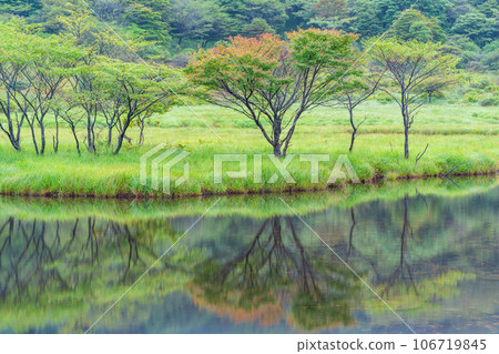 (群馬縣)初秋紅葉已開始的赤城山/角滿淵 (群馬縣)初秋紅葉已開始的赤城山/角滿淵 106719845