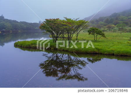 (Gunma Prefecture) Mt. Akagi/Kakumanbuchi where the early autumn leaves have begun 106719846