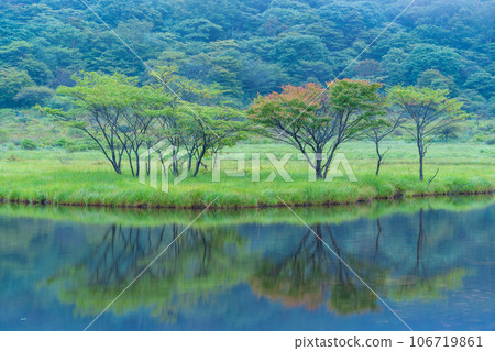 (Gunma Prefecture) Mt. Akagi/Kakumanbuchi where the early autumn leaves have begun (Gunma Prefecture) Mt. Akagi/Kakumanbuchi where the early autumn leaves have begun 106719861